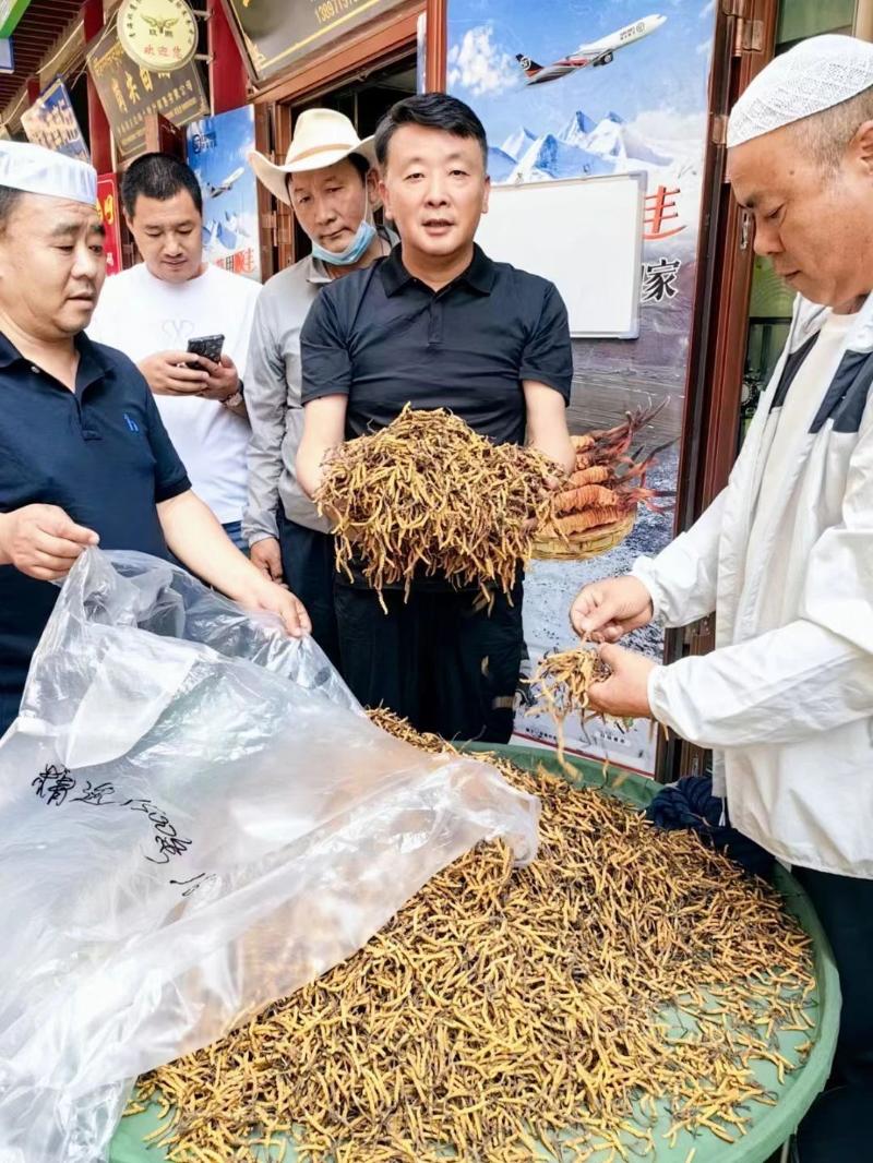 微信图片_20250424124403.jpg